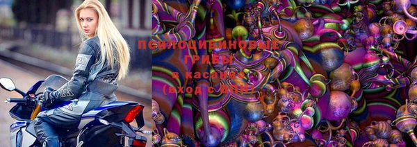 амф Беломорск