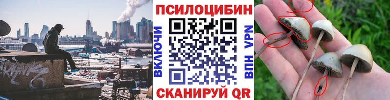 Галлюциногенные грибы Magic Shrooms  Купить закладки  Ангарск 