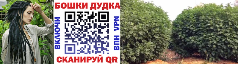 Конопля тримм  Купить закладки  Ангарск 